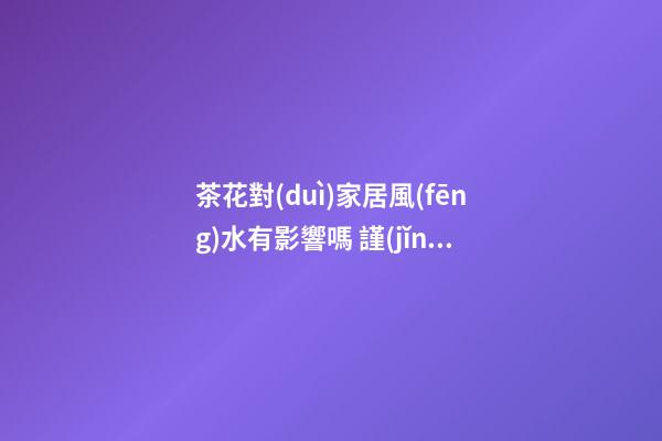 茶花對(duì)家居風(fēng)水有影響嗎 謹(jǐn)慎平穩(wěn)無雜枝